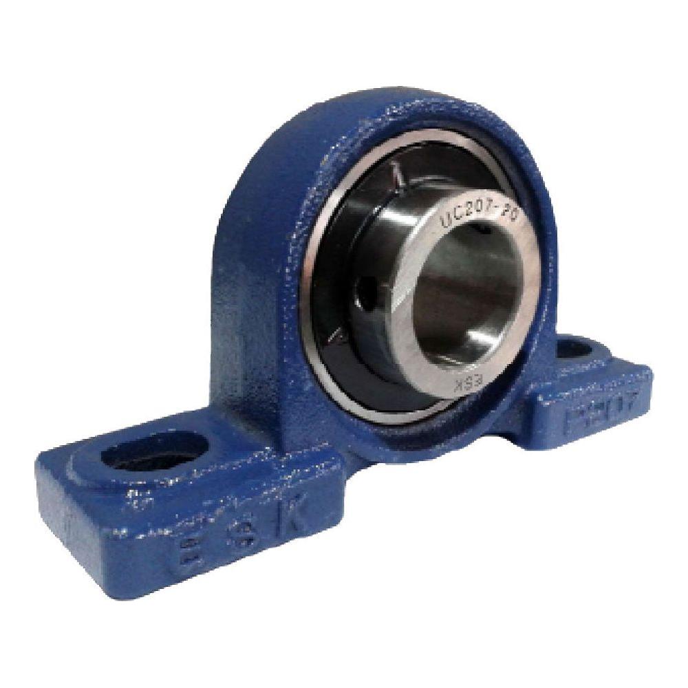 Esk Pillow Block Bearing