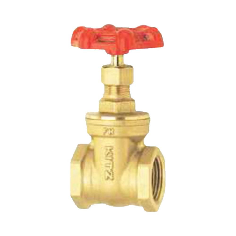 Kitz Gate Valve 1/2