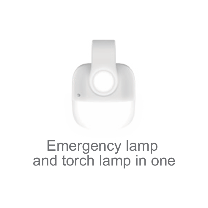 Firefly 2-in-1 Rechargeable Lamp with Torch Light