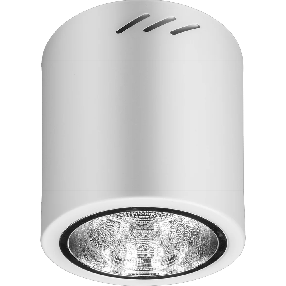 Firefly Indoor Fixtures Vertical Round Downlight - Surface Mounted ...