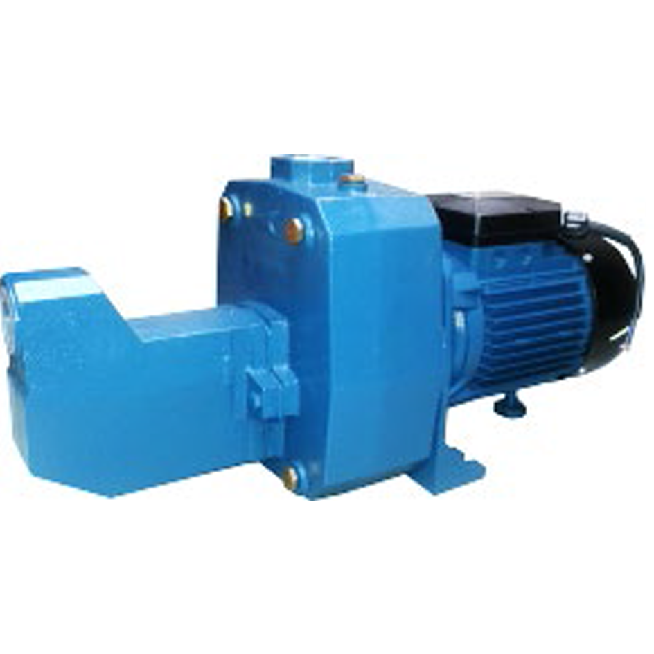 Hoover Shallow Well Water Jet Pump