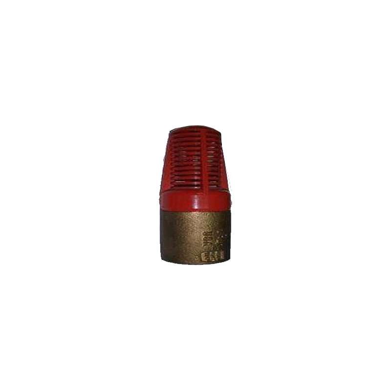 Clayton PVC Foot Valve