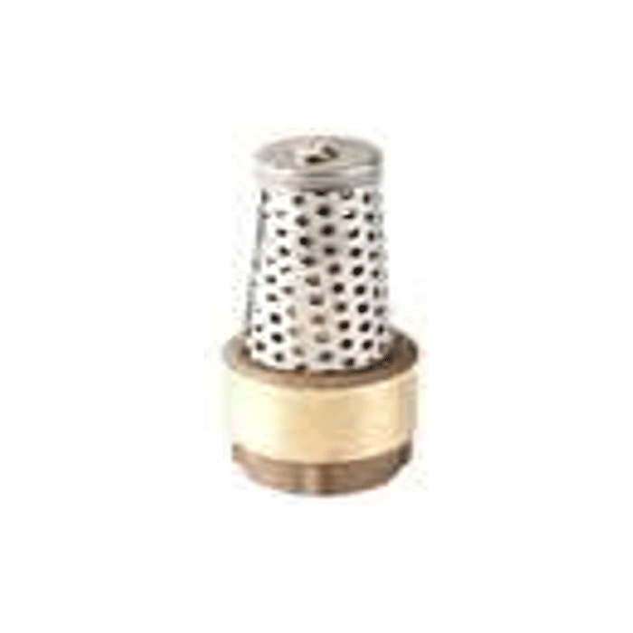 Clayton Valve - Foot Valve