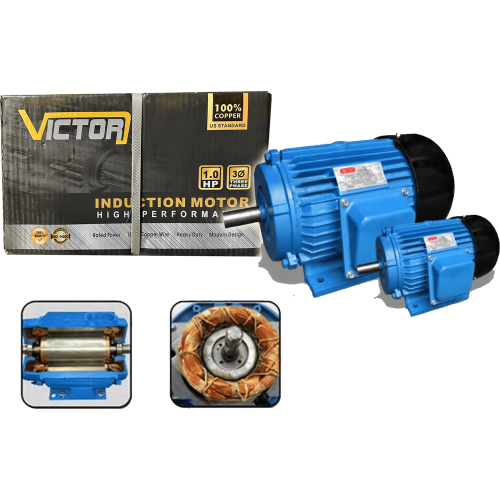 Victor Electric Induction Motor (Copper) – Goldpeak Tools PH